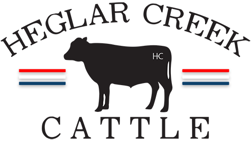 Heglar Creek Cattle